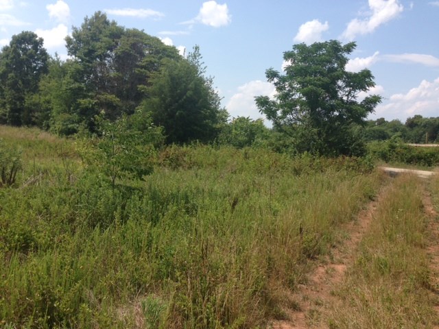 0 Millies Road Gaffney, SC 29341 - Photo 3 of 5