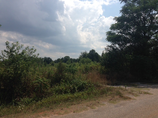 0 Millies Road Gaffney, SC 29341 - Photo 5 of 5