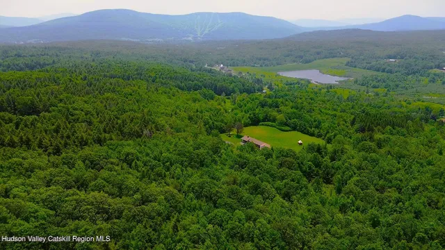 a view of a lush green hillside and a houses