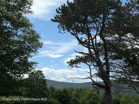 a view of a tree in a yard