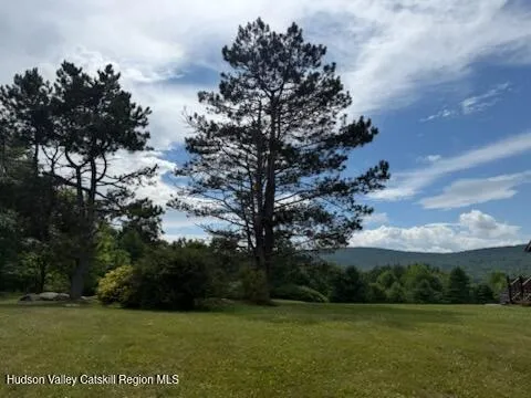 a view of a green field