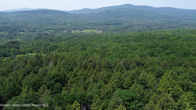 a view of a lush green hillside and a houses