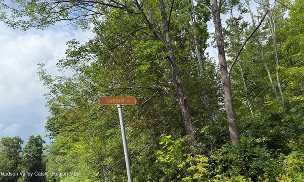 a flag is sitting in the middle of a forest