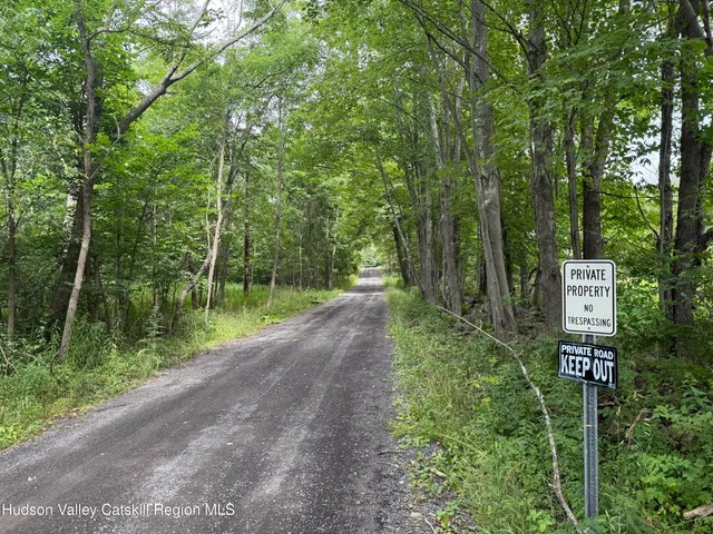 a green field with trees in the background