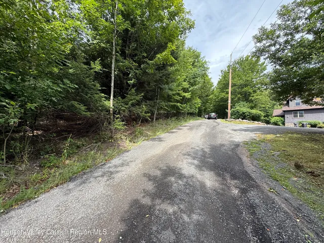 a view of backyard with green space