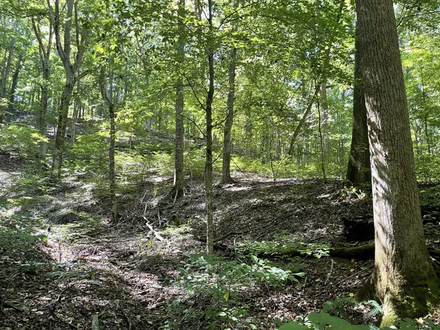 a view of outdoor space and green space