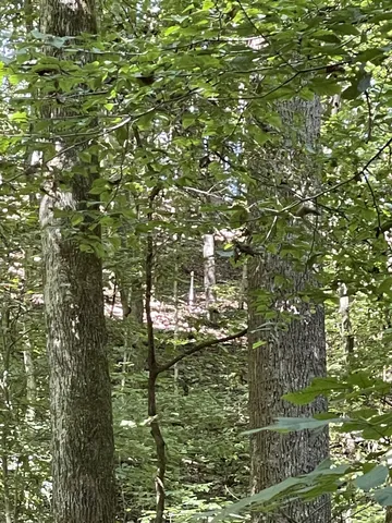 a view of residential houses with swimming pool