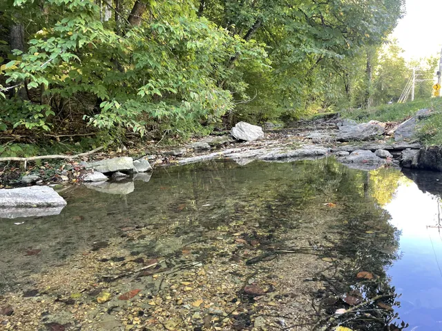 a view of a lake with trees