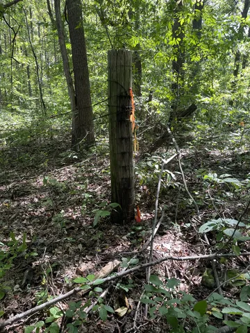 $295,000 | 740 Hogans Branch Road, Hendersonville, TN 37075