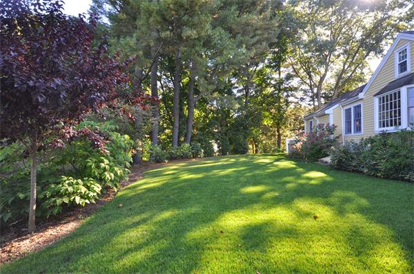 31 MacArthur Road Concord, MA 01742 - Photo 30 of 30 a view of backyard of house with green space