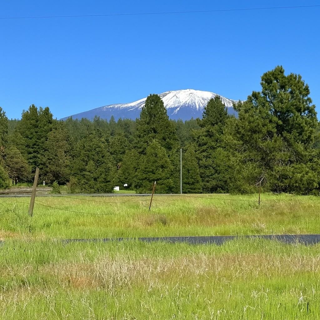 28115 North North Road Deer Park, WA 99006 - Photo 3 of 27 Gallery Image 3
