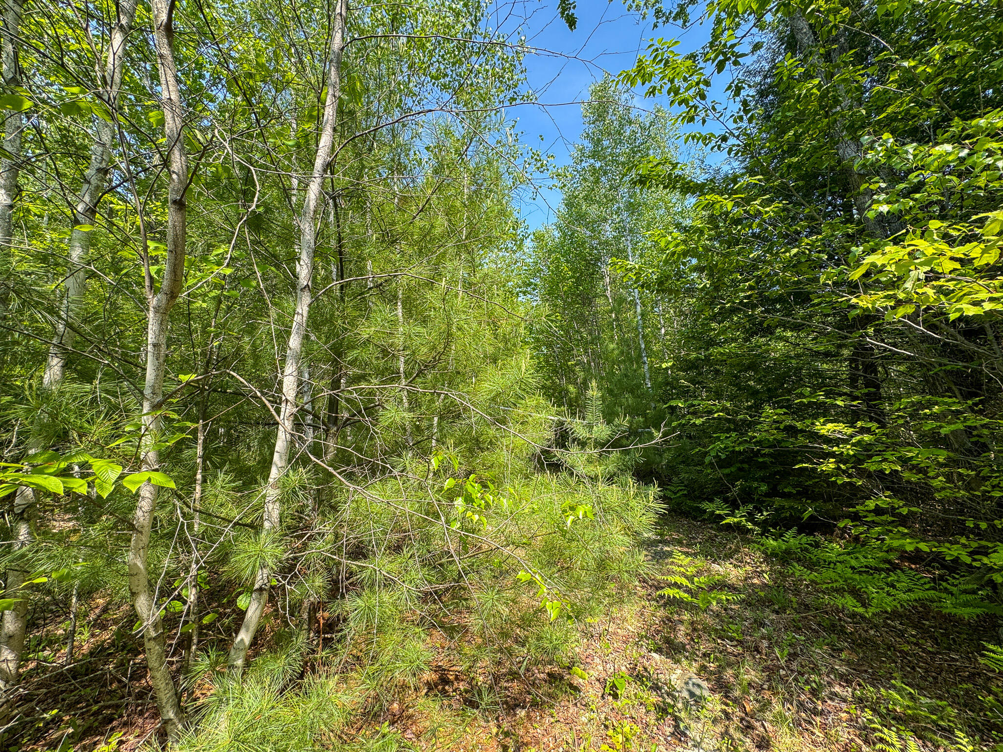 M1-l2 Bunker Hill Road Lagrange, ME 04453 - Photo 11 of 13 11