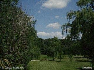 32500 King Road New Boston, MI 48164 - Photo 5 of 5 yard