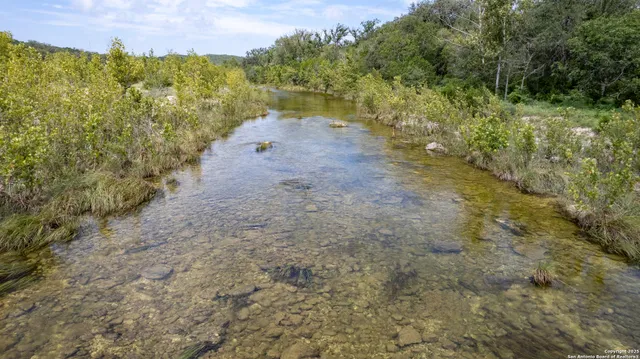 a view of a pathway with a yard