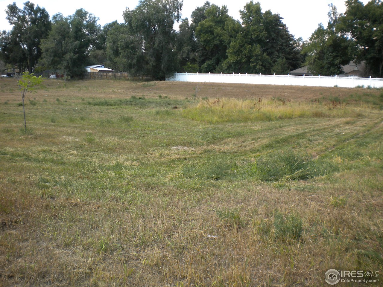 1908 Corvid Way Fort Collins, CO 80521 - Photo 24 of 25 home backs to open space!