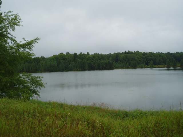 11586 Morgan Lake Road Long Lake, WI 54542 - Photo 10 of 12 Gallery Image 10