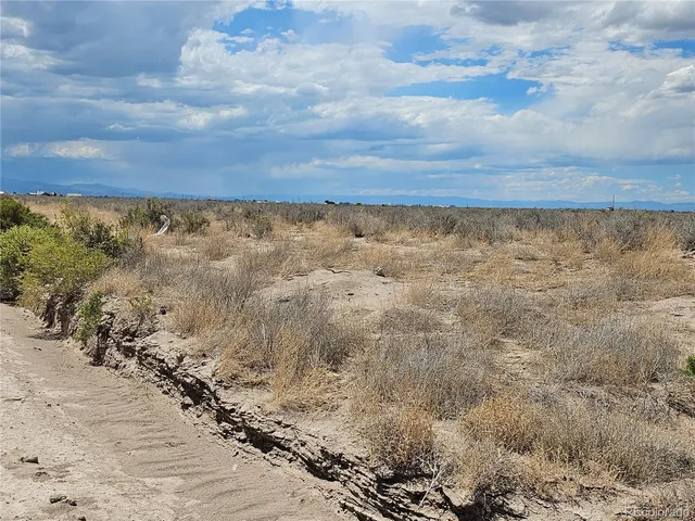 a view of a dry yard with trees