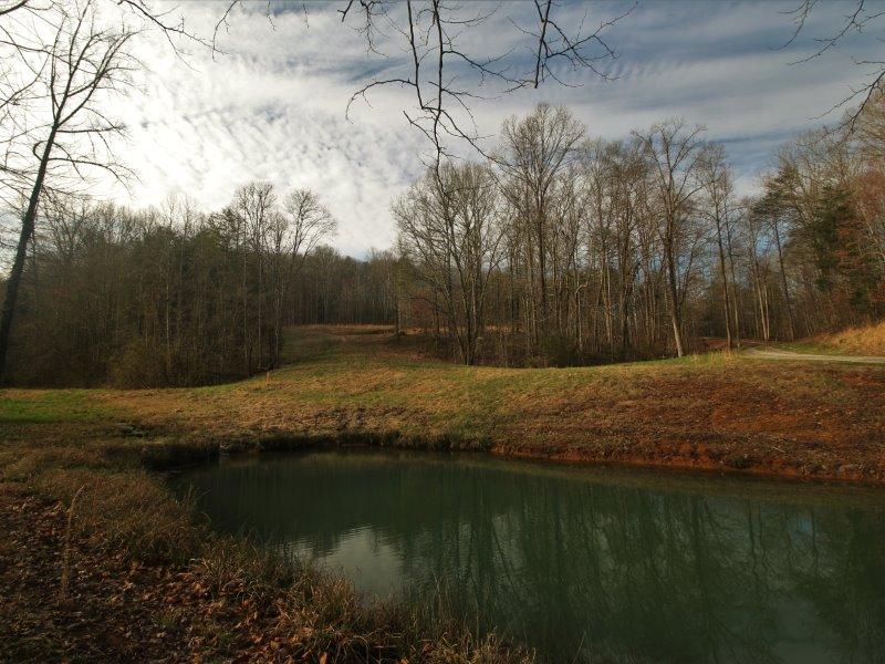 1444 Reagan Valley Road Tellico Plains, TN 37385 - Photo 1 of 40 IMG_3608