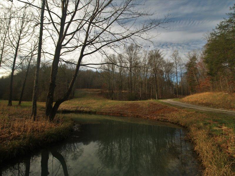 1444 Reagan Valley Road Tellico Plains, TN 37385 - Photo 2 of 40 IMG_3605