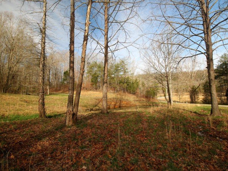 1444 Reagan Valley Road Tellico Plains, TN 37385 - Photo 11 of 40 IMG_3614