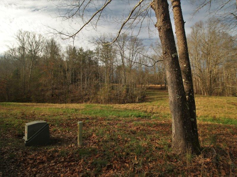 1444 Reagan Valley Road Tellico Plains, TN 37385 - Photo 12 of 40 IMG_3615