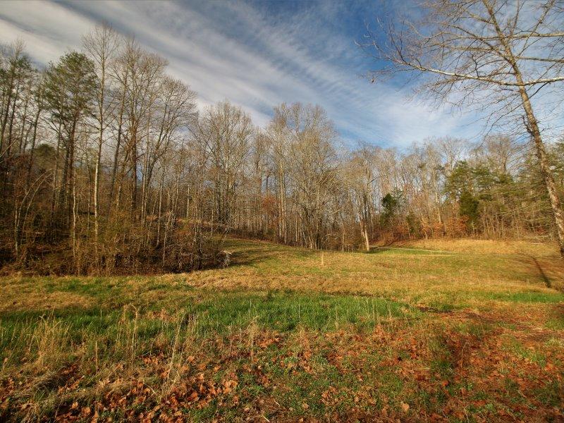 1444 Reagan Valley Road Tellico Plains, TN 37385 - Photo 13 of 40 IMG_3617