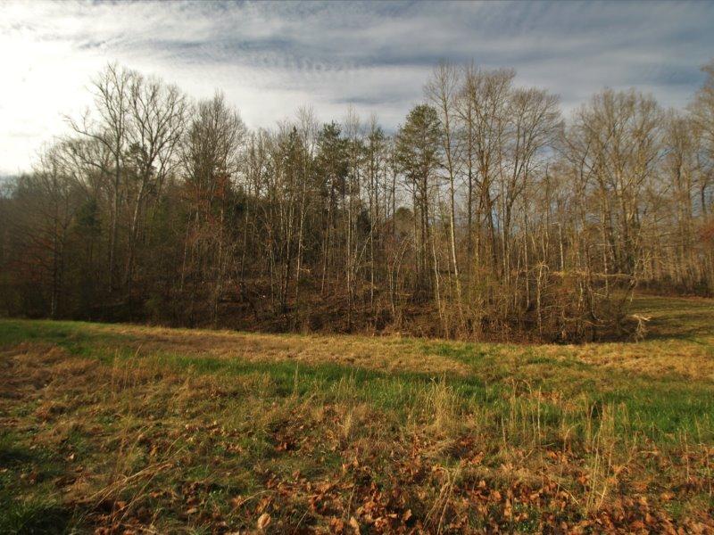 1444 Reagan Valley Road Tellico Plains, TN 37385 - Photo 14 of 40 IMG_3618