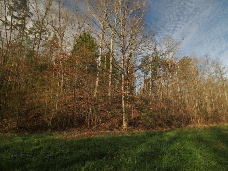 1444 Reagan Valley Road Tellico Plains, TN 37385 - Photo 16 of 40 IMG_3621