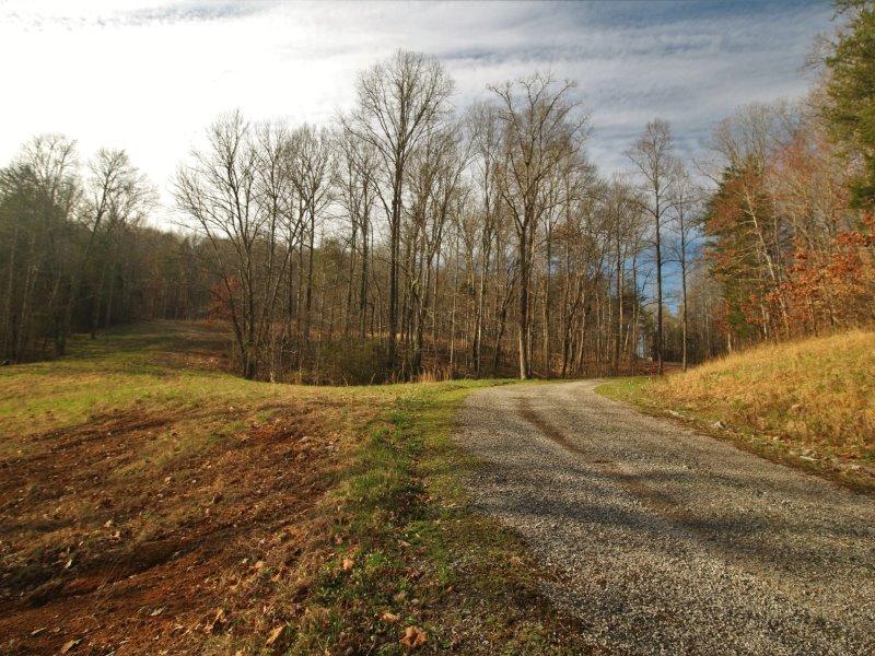 1444 Reagan Valley Road Tellico Plains, TN 37385 - Photo 17 of 40 IMG_3629