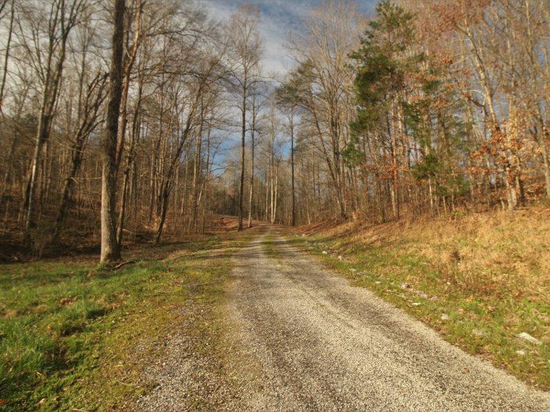 1444 Reagan Valley Road Tellico Plains, TN 37385 - Photo 18 of 40 IMG_3633