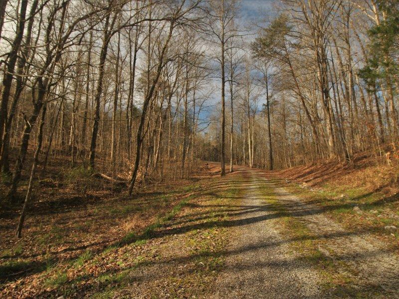 1444 Reagan Valley Road Tellico Plains, TN 37385 - Photo 19 of 40 IMG_3634