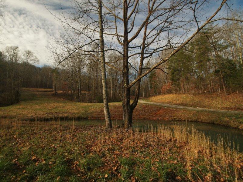 1444 Reagan Valley Road Tellico Plains, TN 37385 - Photo 3 of 40 IMG_3606