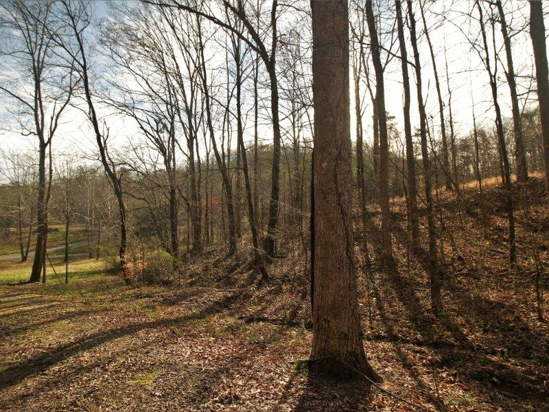 1444 Reagan Valley Road Tellico Plains, TN 37385 - Photo 21 of 40 IMG_3637