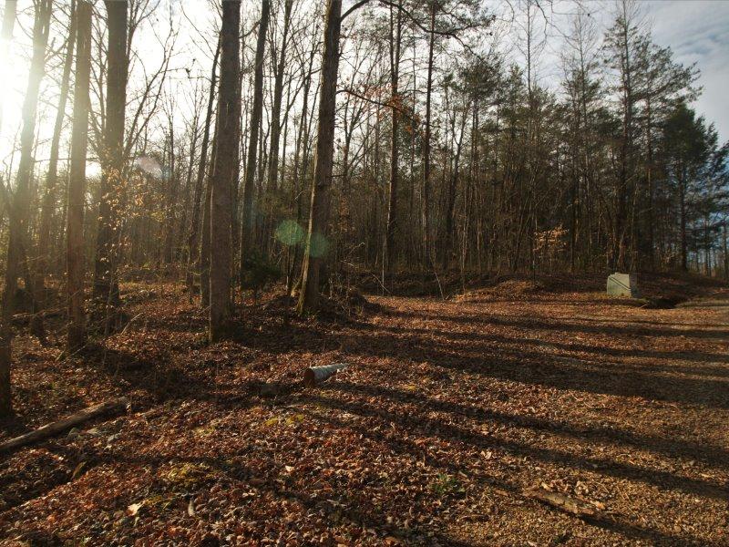 1444 Reagan Valley Road Tellico Plains, TN 37385 - Photo 22 of 40 IMG_3638