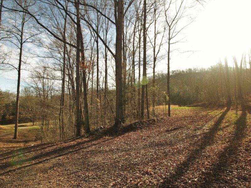 1444 Reagan Valley Road Tellico Plains, TN 37385 - Photo 23 of 40 IMG_3639