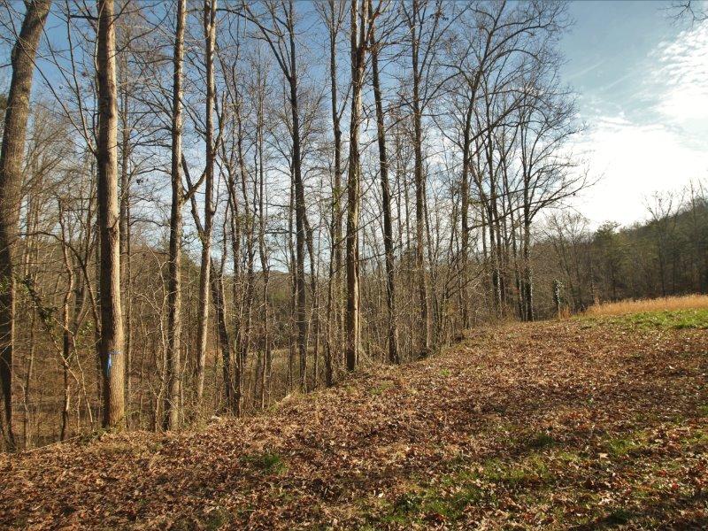 1444 Reagan Valley Road Tellico Plains, TN 37385 - Photo 24 of 40 IMG_3642