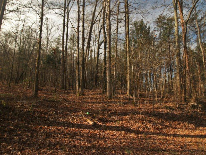 1444 Reagan Valley Road Tellico Plains, TN 37385 - Photo 25 of 40 IMG_3644
