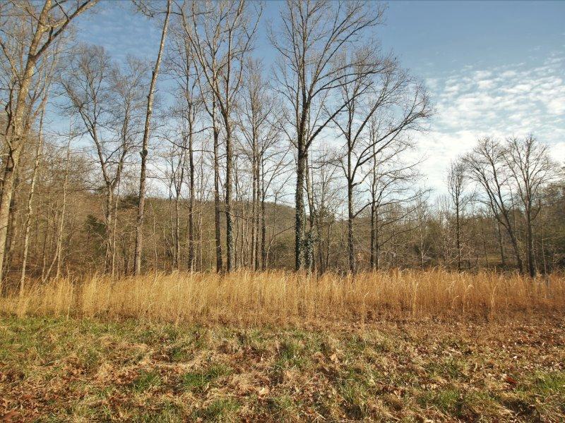 1444 Reagan Valley Road Tellico Plains, TN 37385 - Photo 26 of 40 IMG_3647