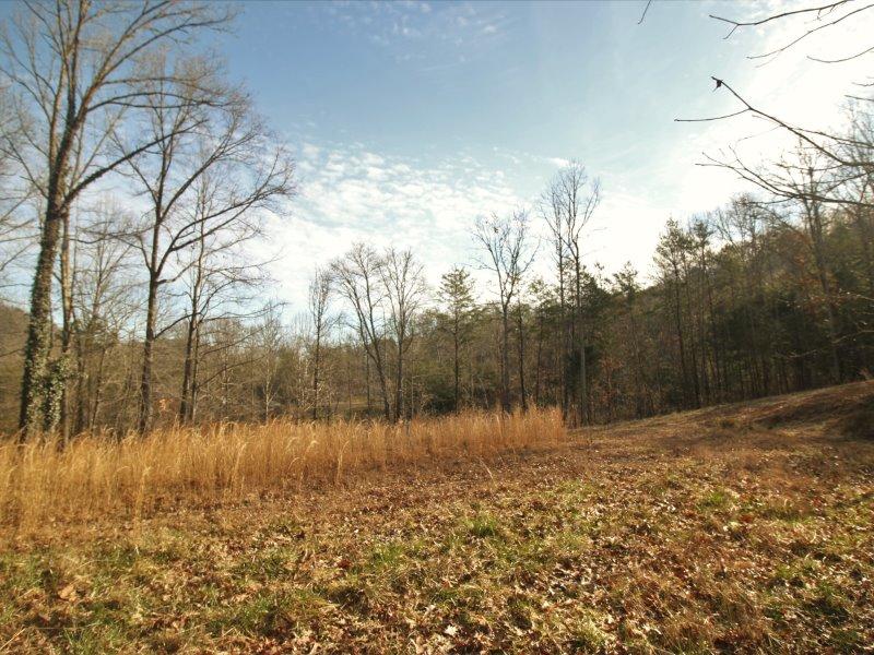 1444 Reagan Valley Road Tellico Plains, TN 37385 - Photo 27 of 40 IMG_3648