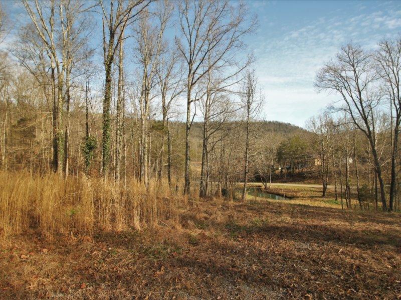 1444 Reagan Valley Road Tellico Plains, TN 37385 - Photo 28 of 40 IMG_3649