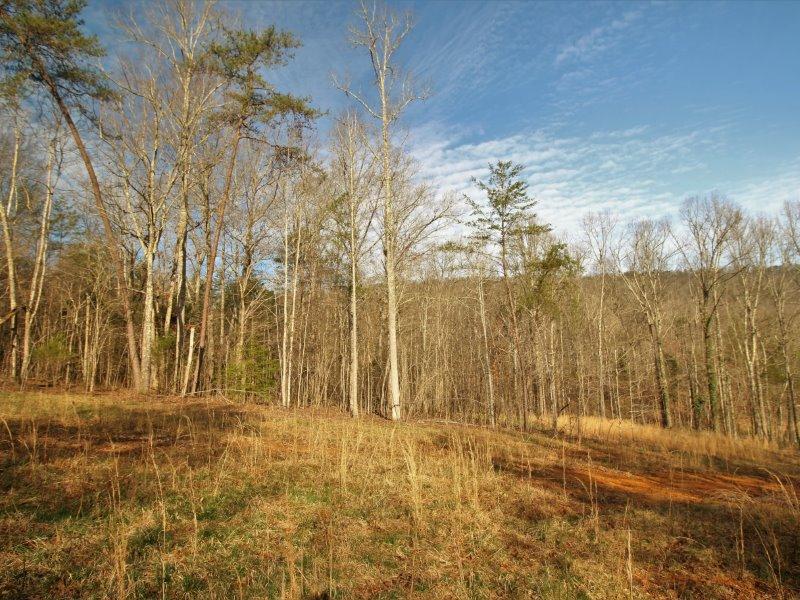 1444 Reagan Valley Road Tellico Plains, TN 37385 - Photo 30 of 40 IMG_3659