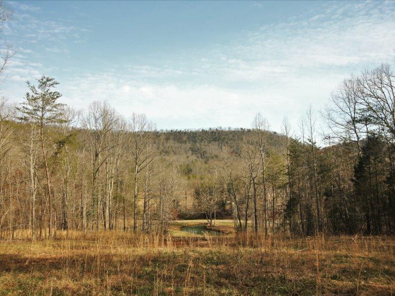 1444 Reagan Valley Road Tellico Plains, TN 37385 - Photo 32 of 40 IMG_3663