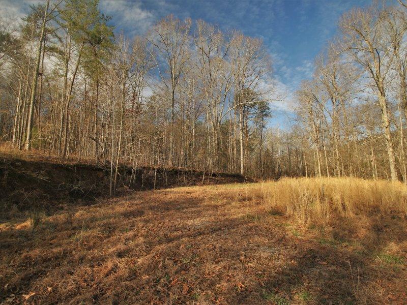 1444 Reagan Valley Road Tellico Plains, TN 37385 - Photo 33 of 40 IMG_3670