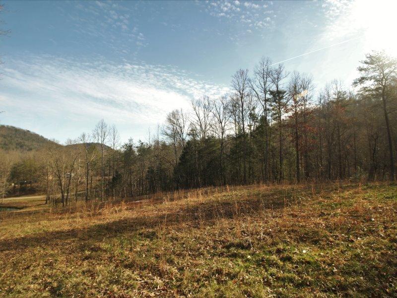 1444 Reagan Valley Road Tellico Plains, TN 37385 - Photo 34 of 40 IMG_3668