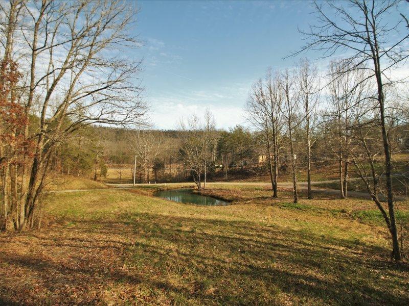 1444 Reagan Valley Road Tellico Plains, TN 37385 - Photo 35 of 40 IMG_3673