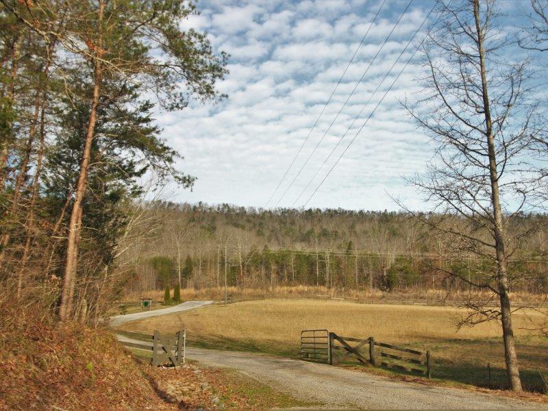 1444 Reagan Valley Road Tellico Plains, TN 37385 - Photo 36 of 40 IMG_3676