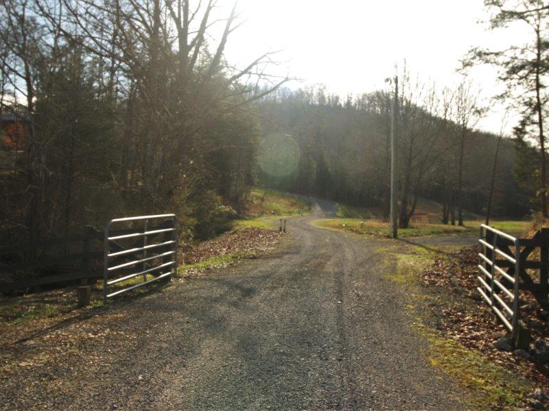 1444 Reagan Valley Road Tellico Plains, TN 37385 - Photo 37 of 40 IMG_3677