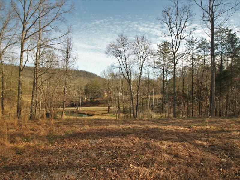 1444 Reagan Valley Road Tellico Plains, TN 37385 - Photo 5 of 40 IMG_3650
