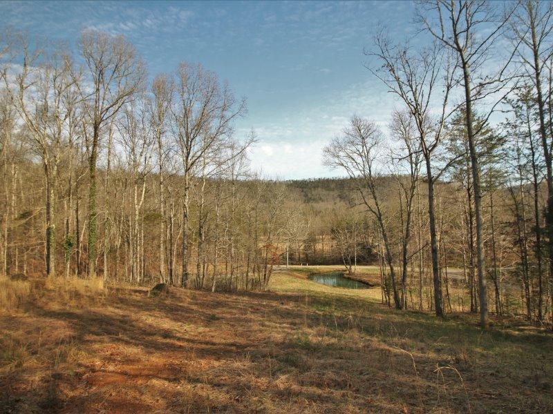 1444 Reagan Valley Road Tellico Plains, TN 37385 - Photo 6 of 40 IMG_3653