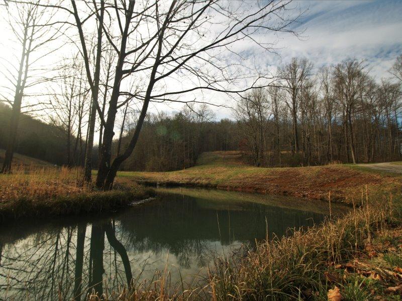 1444 Reagan Valley Road Tellico Plains, TN 37385 - Photo 7 of 40 IMG_3603